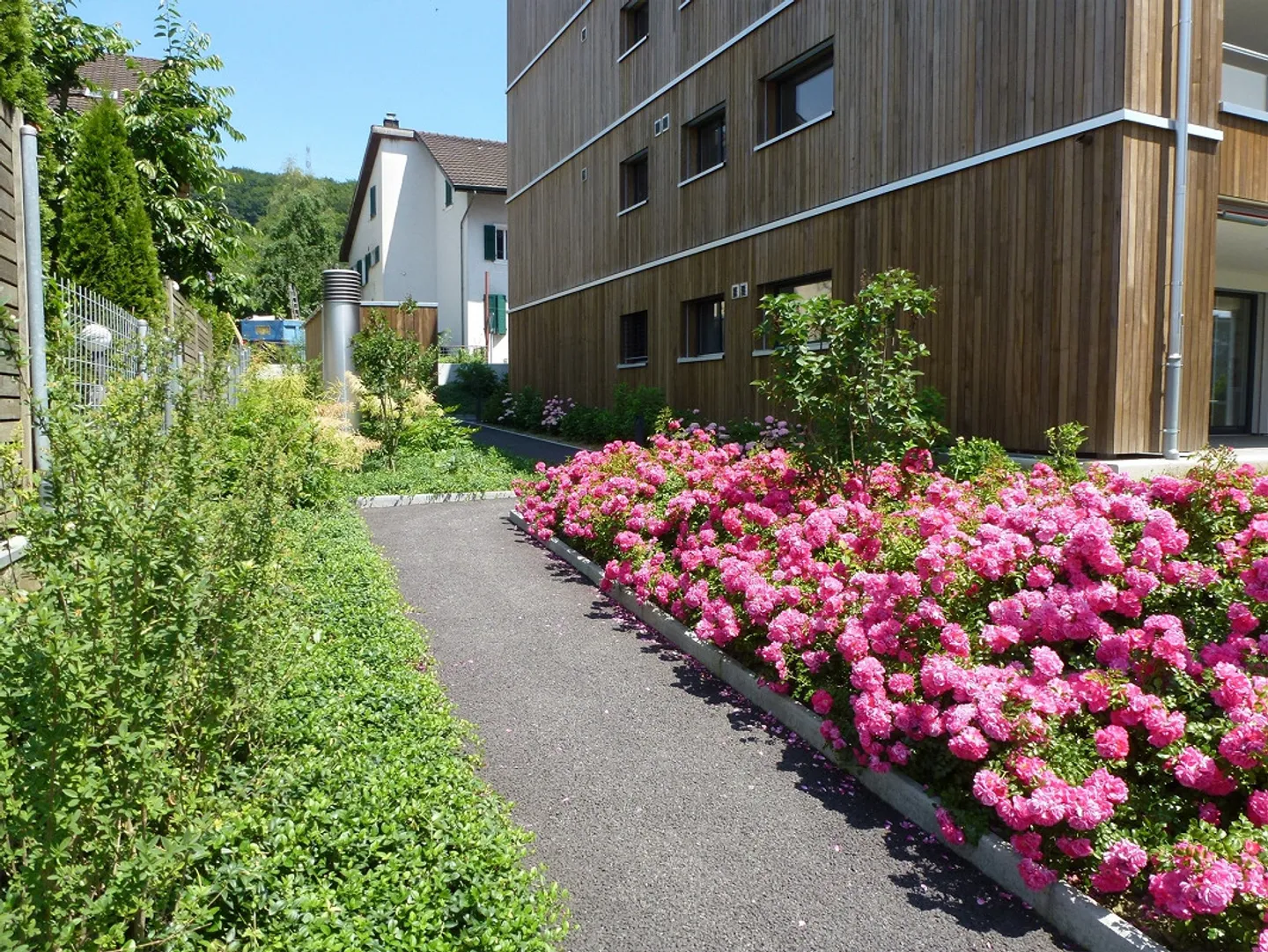 Moderne 4.5 Zimmer-Wohnung - Foto 12 von 15
