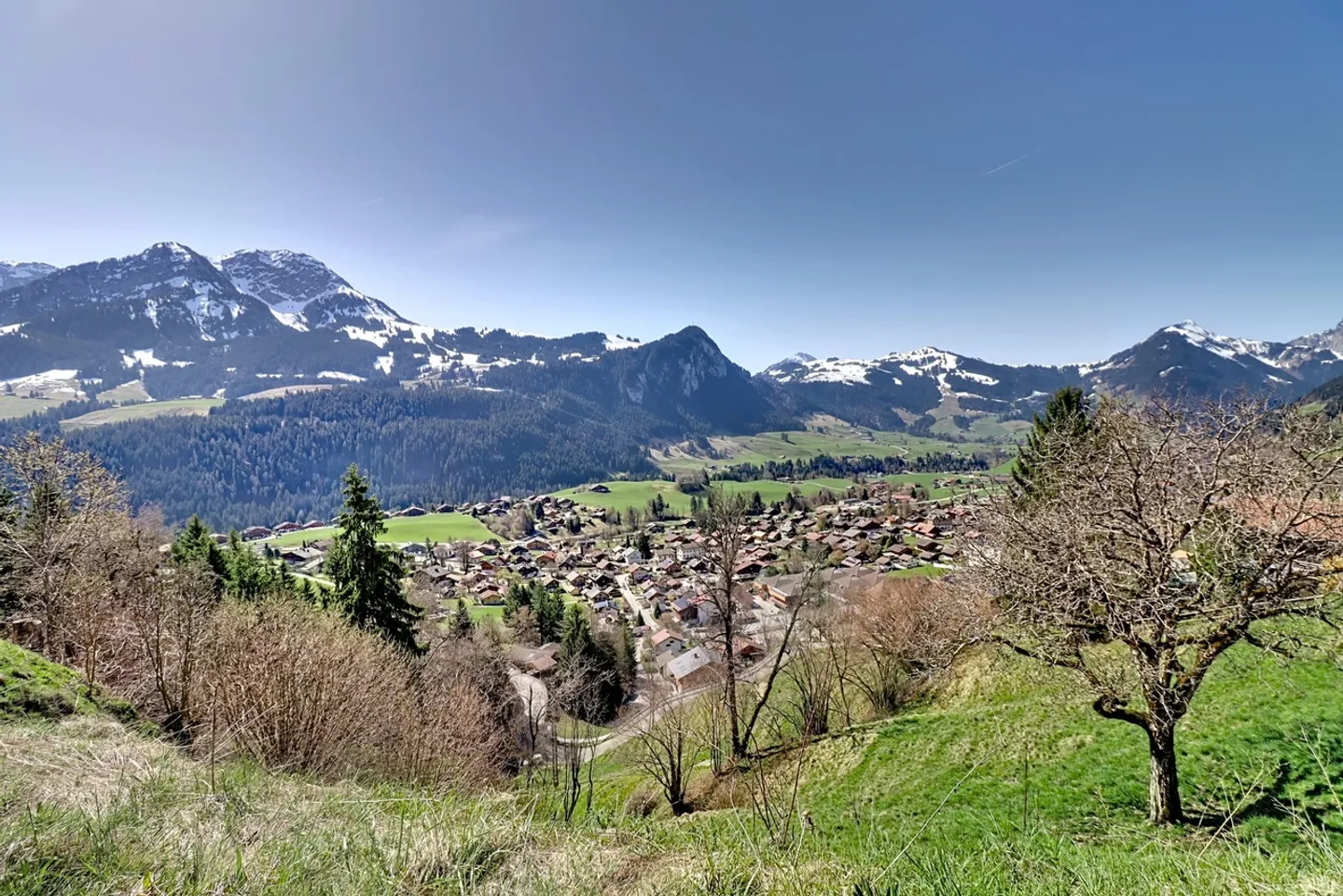 Château-d'OEx - Chalet zur Renovierung mit Baugenehmigung - Foto 12 von 12