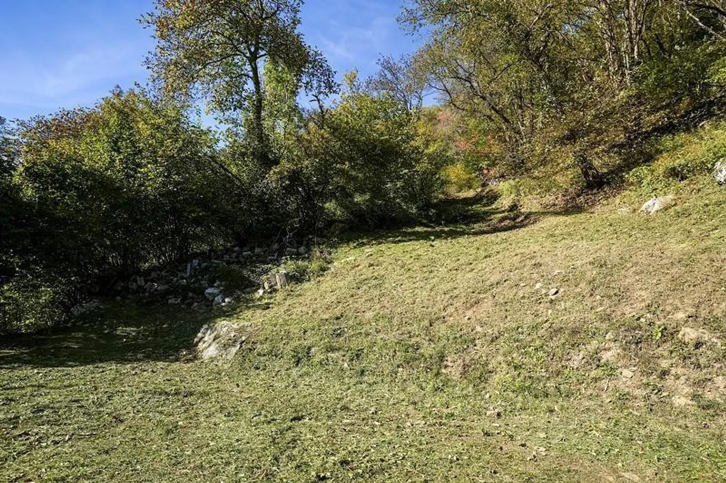 3 1/2-Room Rustic in a Secluded Location, Very Quiet, Sunny with Great ... - Photo 15 of 26