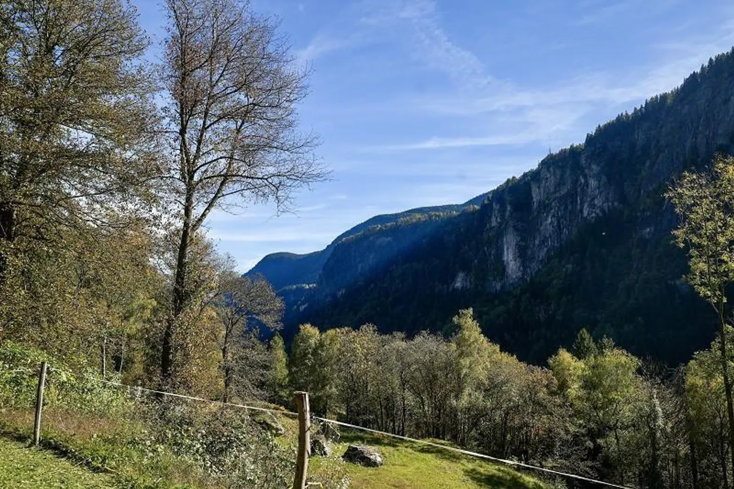 3 1/2-Room Rustic in a Secluded Location, Very Quiet, Sunny with Great ... - Photo 17 of 26