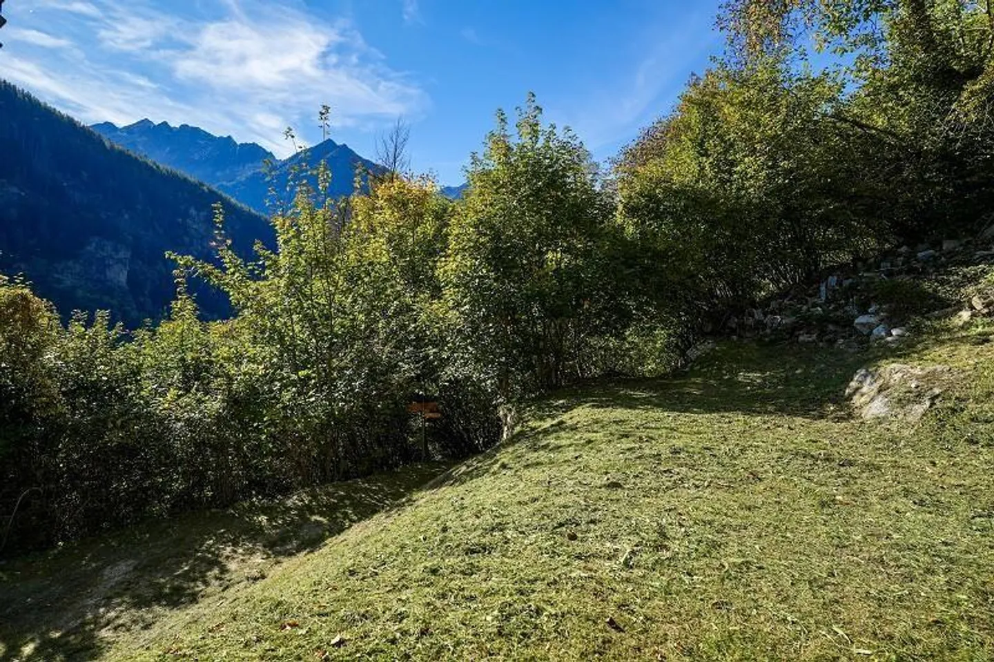 3 1/2-Room Rustic in a Secluded Location, Very Quiet, Sunny with Great ... - Photo 20 of 26
