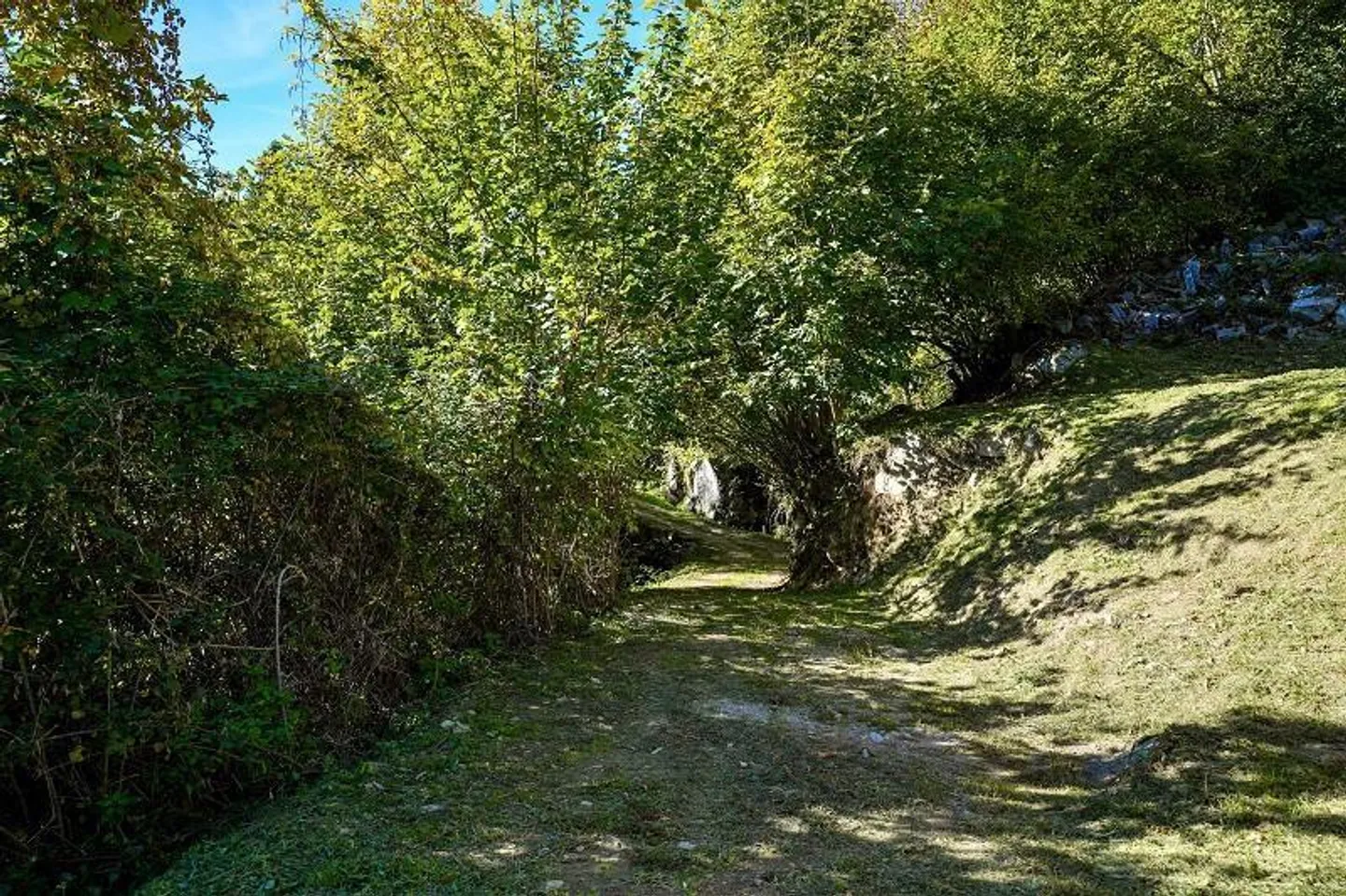 3 1/2-Room Rustic in a Secluded Location, Very Quiet, Sunny with Great ... - Photo 21 of 26