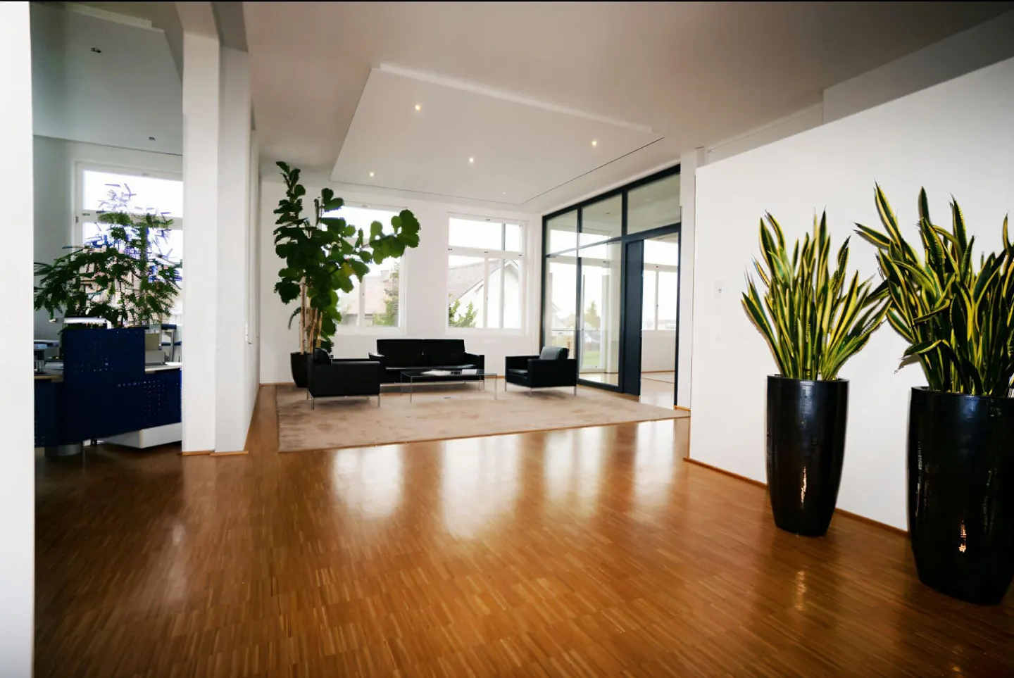 Geräumiges Loft-Büro mit Potenzial - Foto 4 von 6