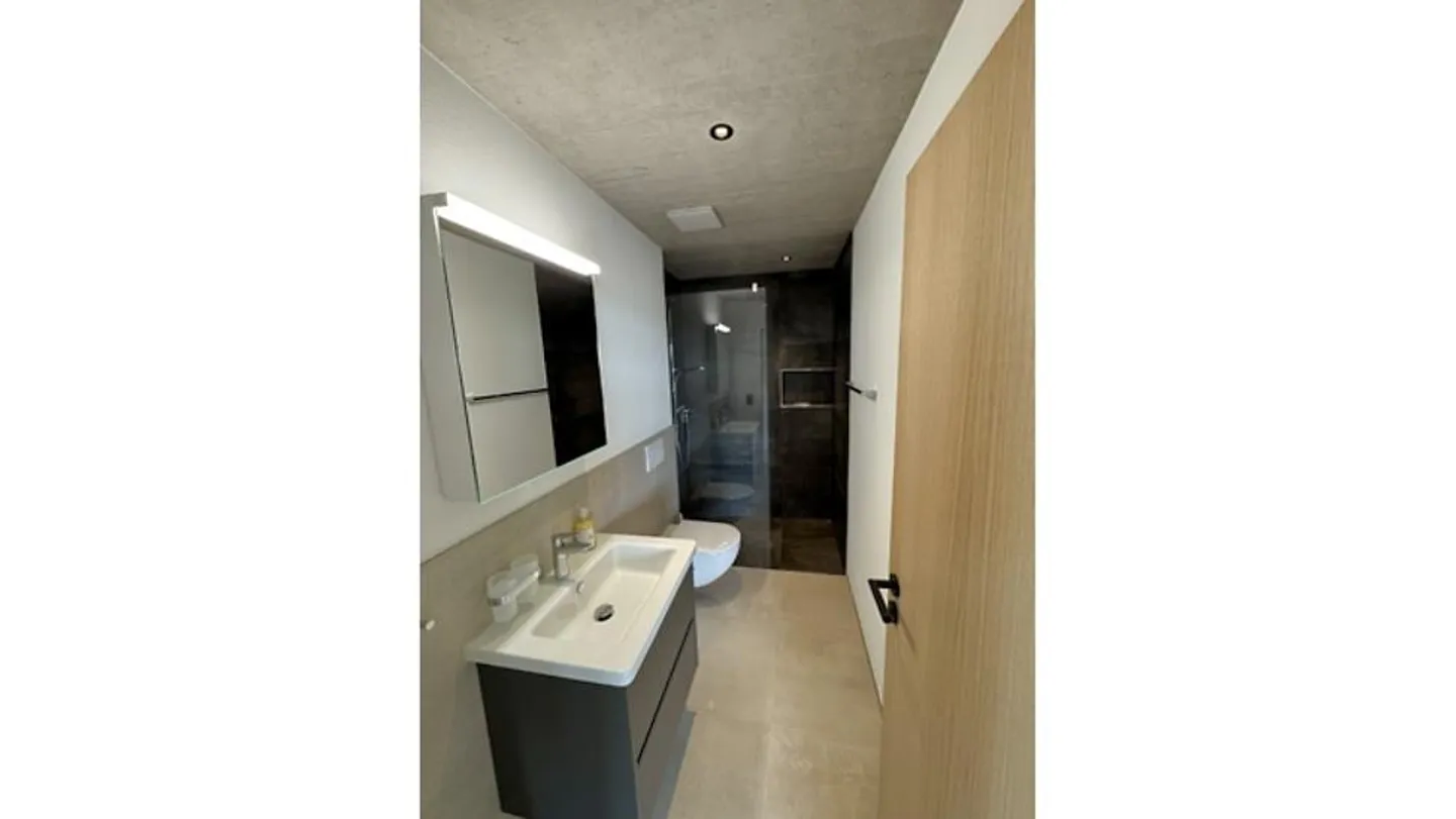 2 ROOM APARTMENT IN ERMATINGEN (TG), FURNISHED, TEMPORARY - Photo 7 of 10