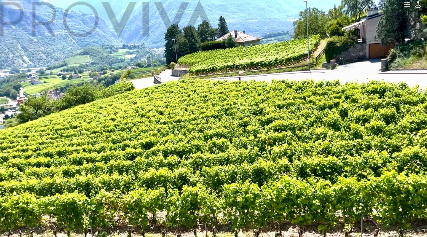Sonnig mit hübscher Aussicht ohne vis-à-vis - Foto 1 di 7