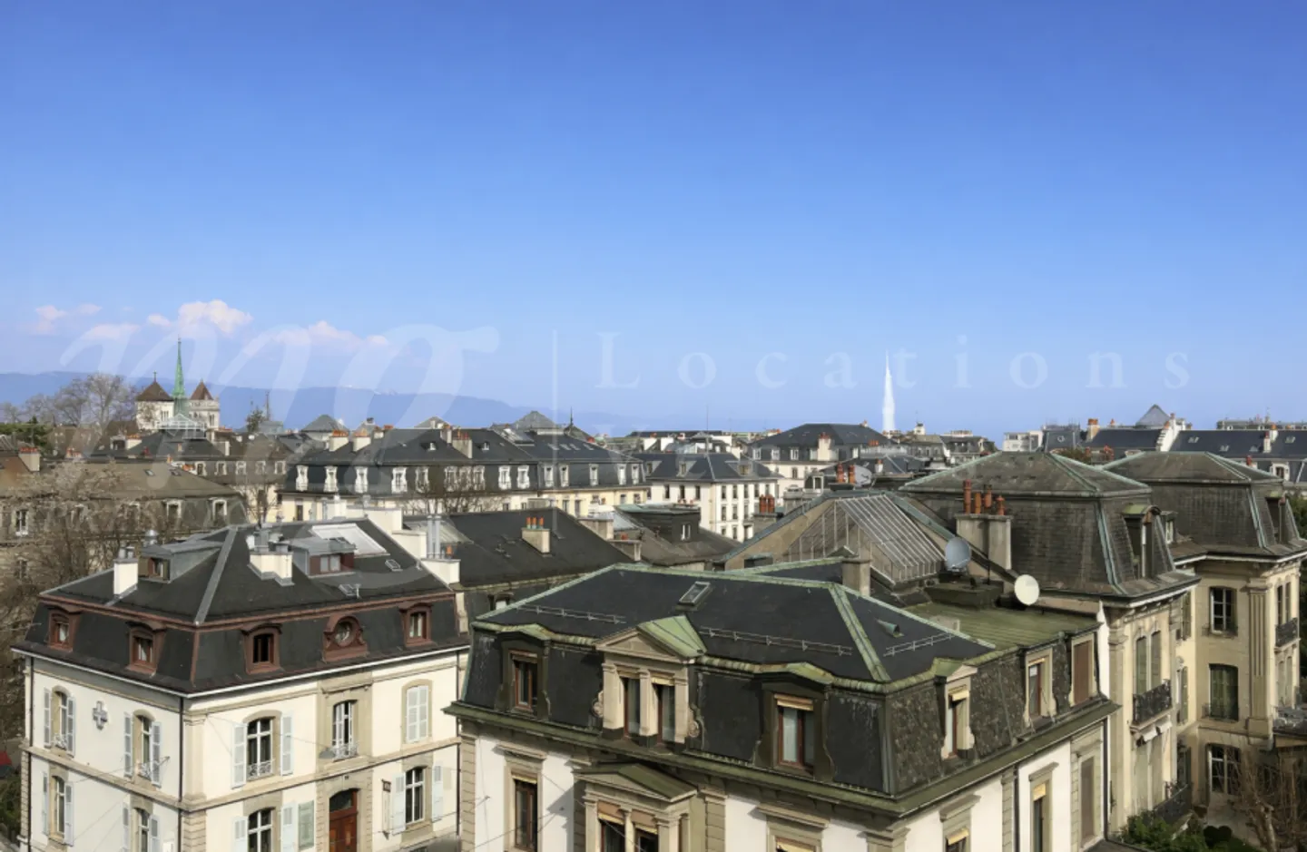 MAGNIFICENT HAUSSMANNIAN APARTMENT WITH 10 ROOMS - 260 m2 - NEAR RUSSIAN CHURCH - Photo 1 of 9