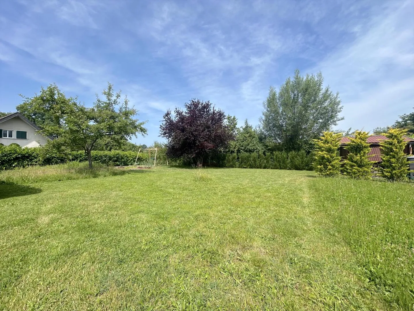 Magnifica casa con giardino - Foto 5 di 13