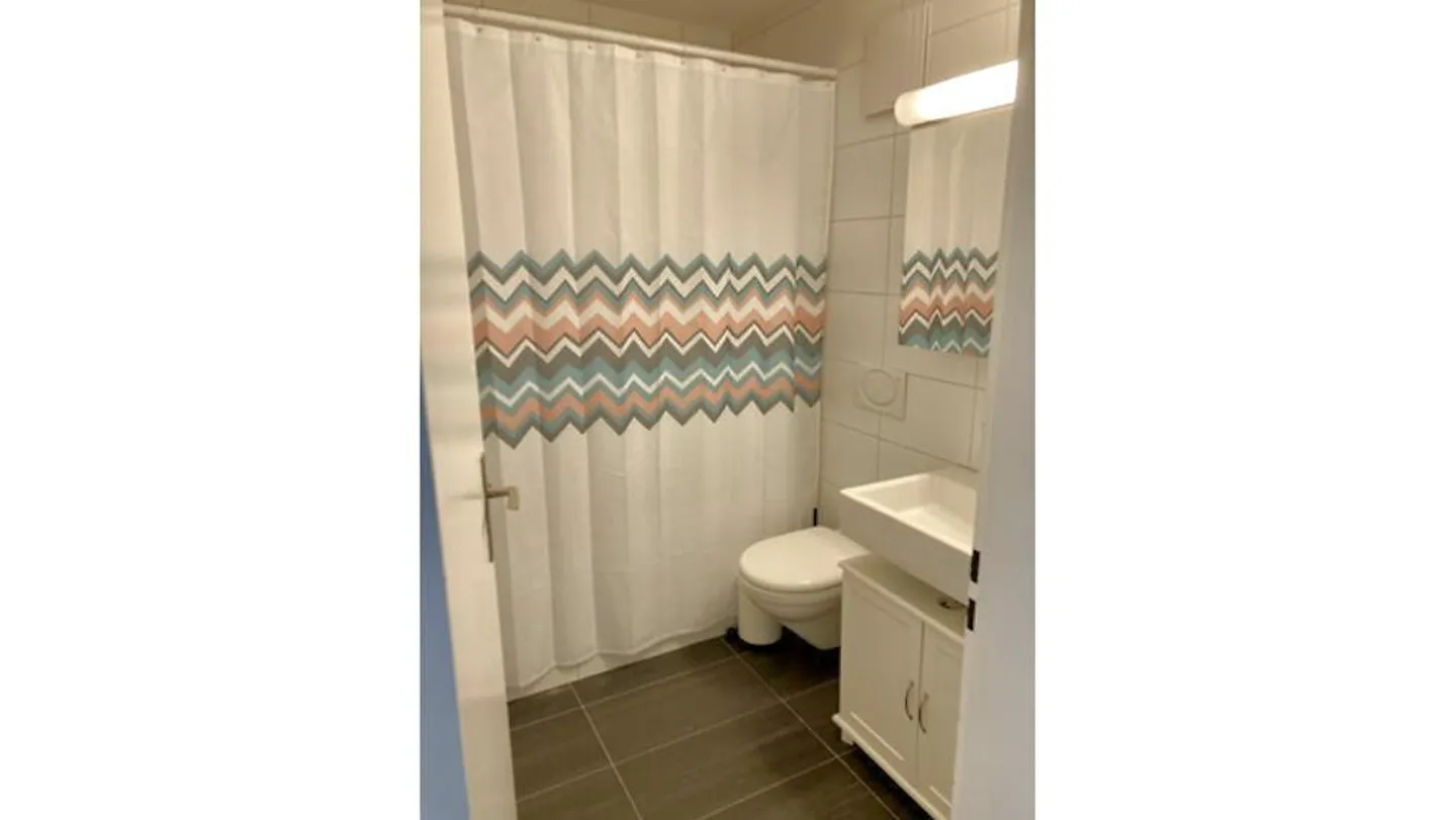 APPARTEMENT 4½ PIÈCES À BERNE - BREITENRAIN, MEUBLÉ, TEMPORAIRE - Photo 6 sur 9