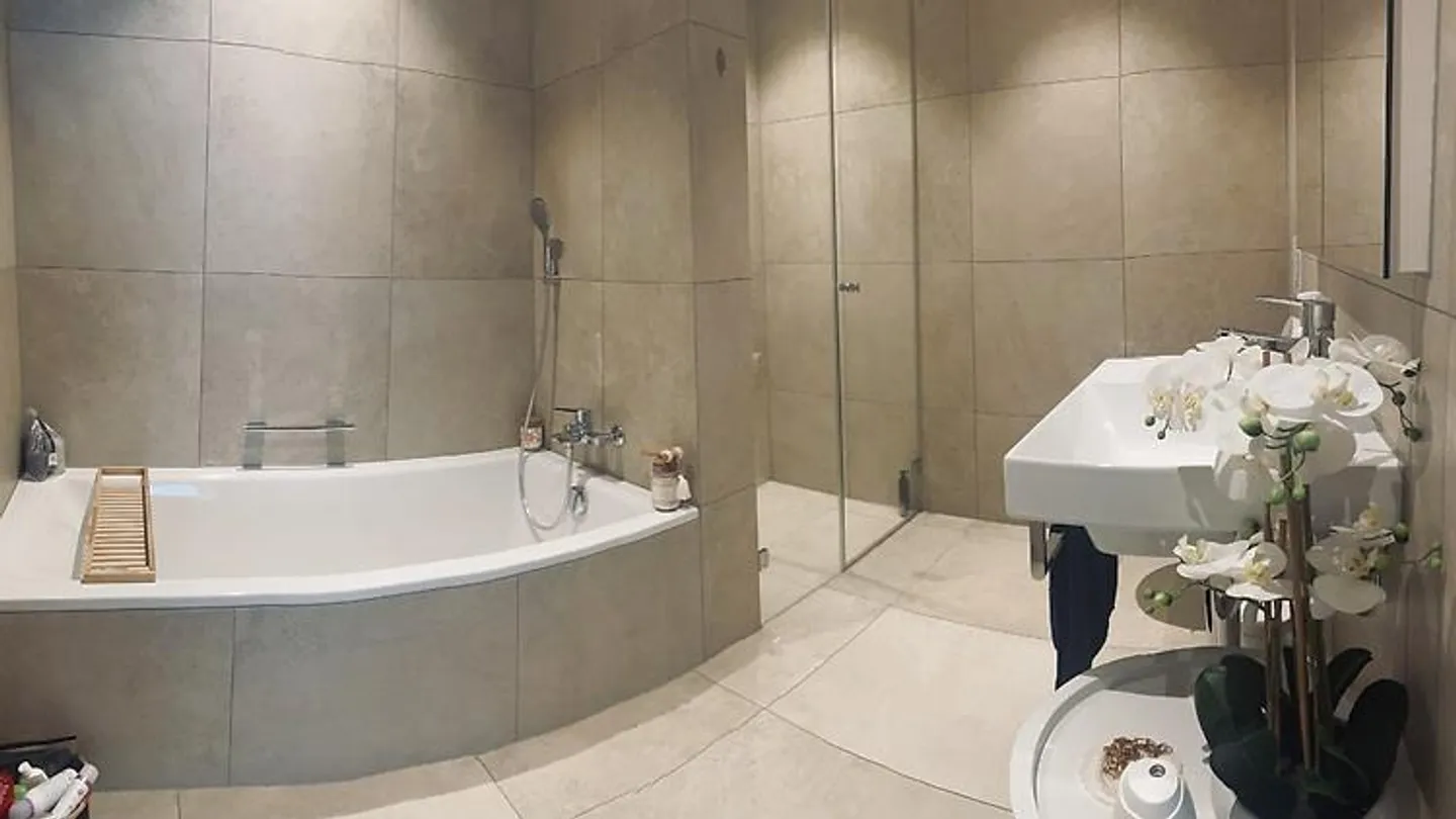 3 monolocale a Steinhausen (ZG), fornita, TEMPORANEA - Foto 4 di 4