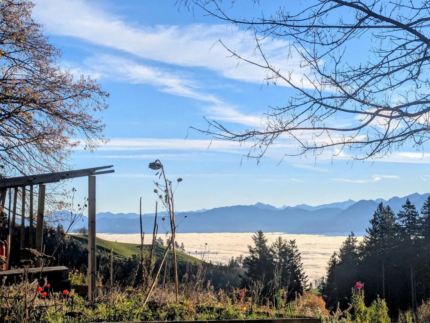 Objet de passion - Photo 2 sur 9