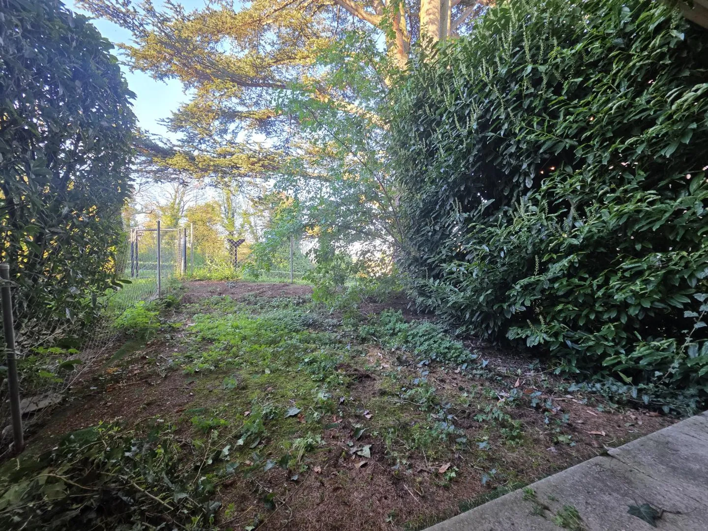 2-Zimmer-Wohnung - Foto 6 von 6