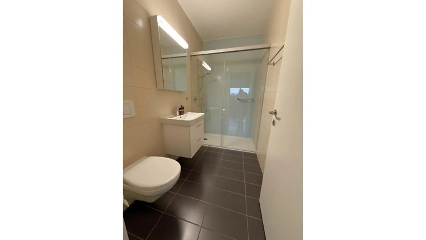 APPARTEMENT 3½ PIÈCES À BADEN (AG), MEUBLÉ, TEMPORAIRE - Photo 8 sur 10