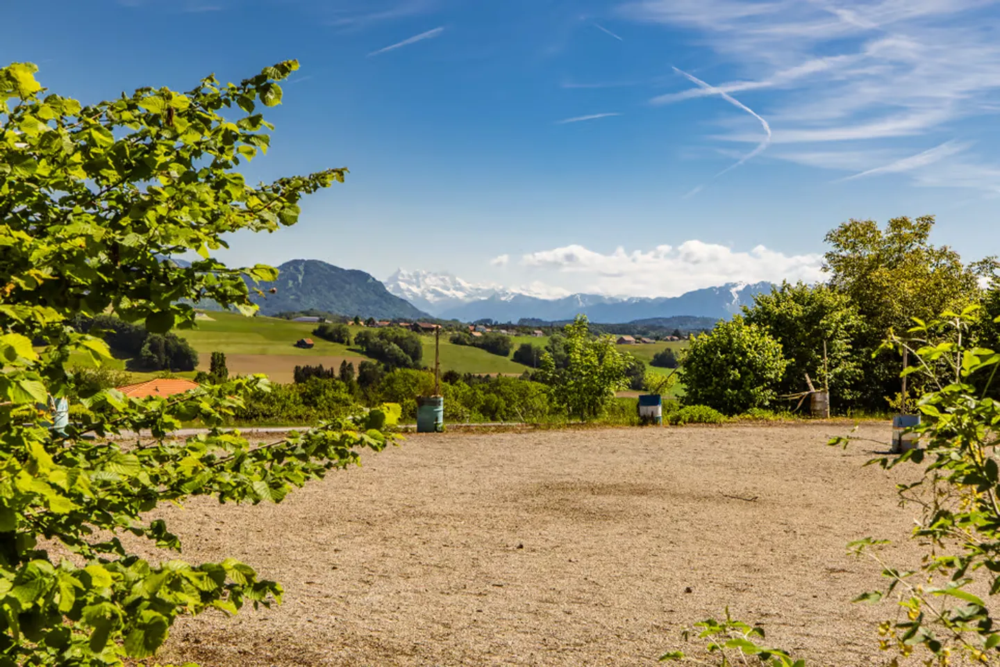 Rare opportunity: vast estate with building potential - Photo 9 of 13