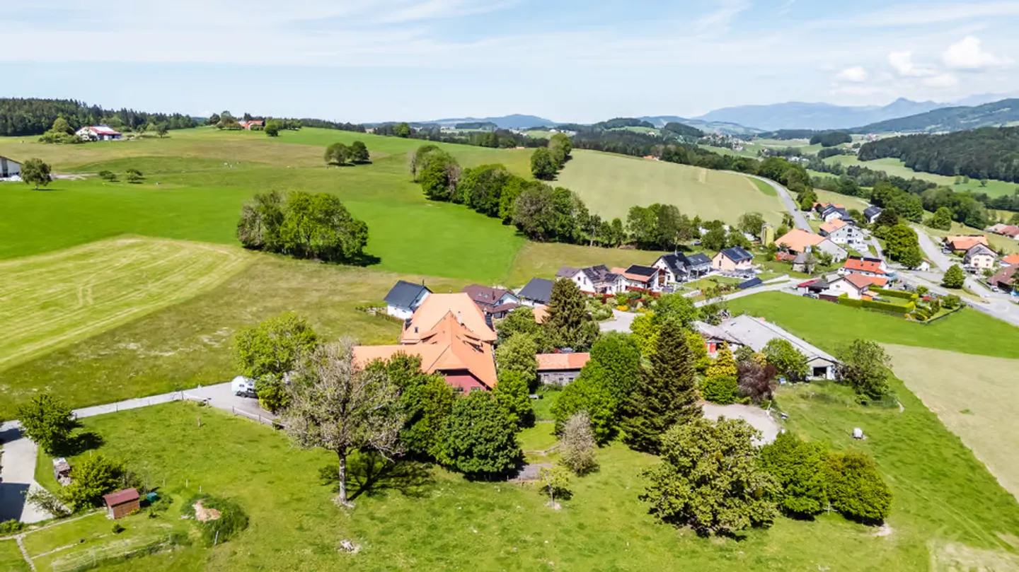 Rare opportunity: vast estate with building potential - Photo 12 of 13