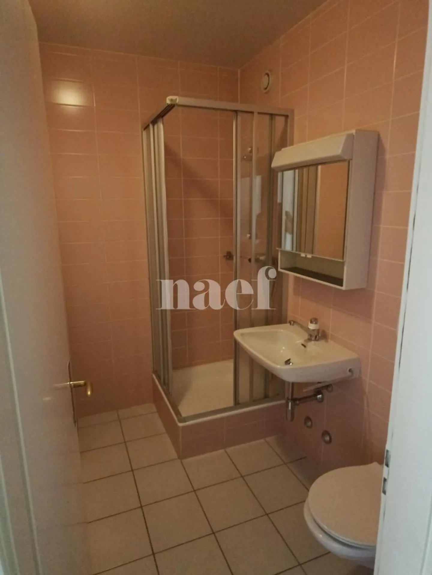 Apartment with 5 rooms and large balcony in Carouge - Photo 8 of 10