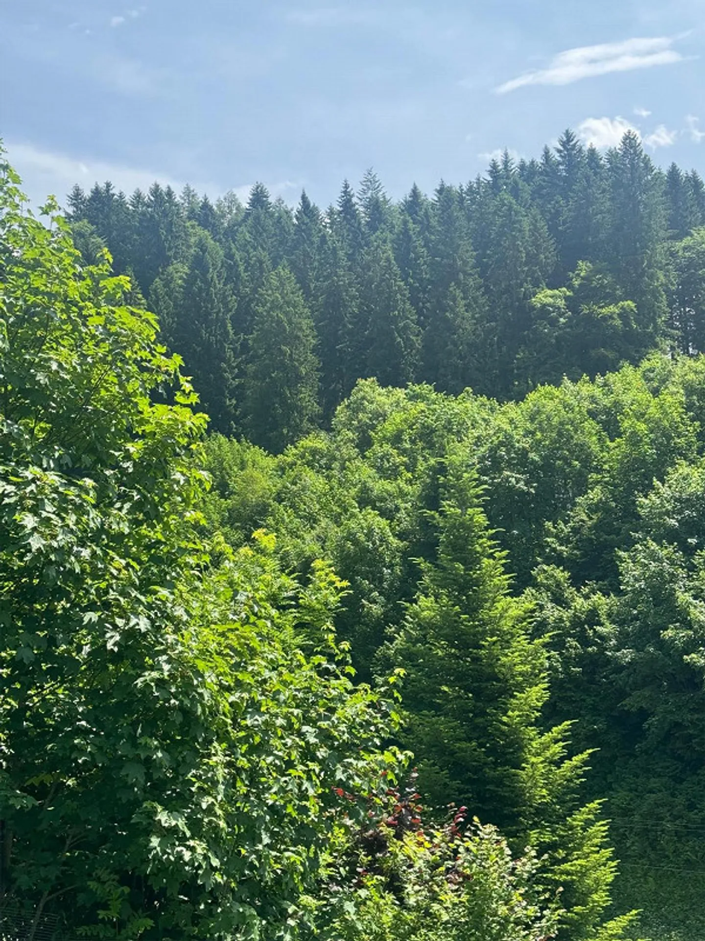 Engelberg : Terrain à bâtir exclusif sur une pente orientée au sud - Photo 2 sur 5