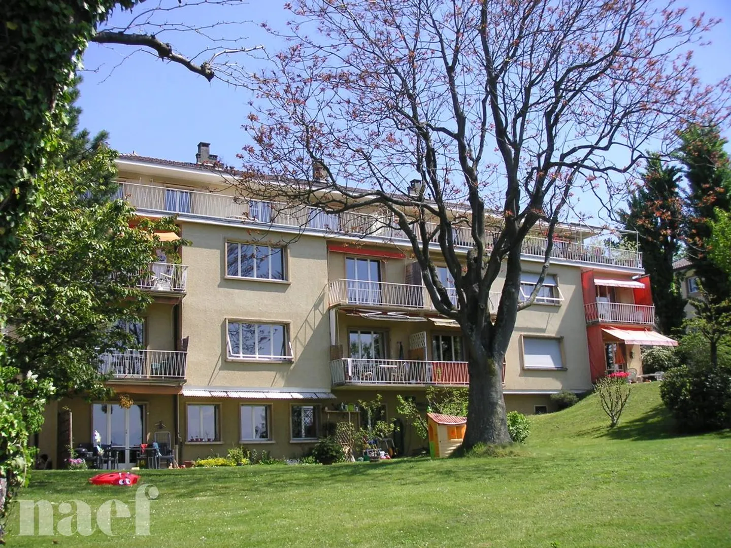 Open space 1 room - Photo 1 of 1