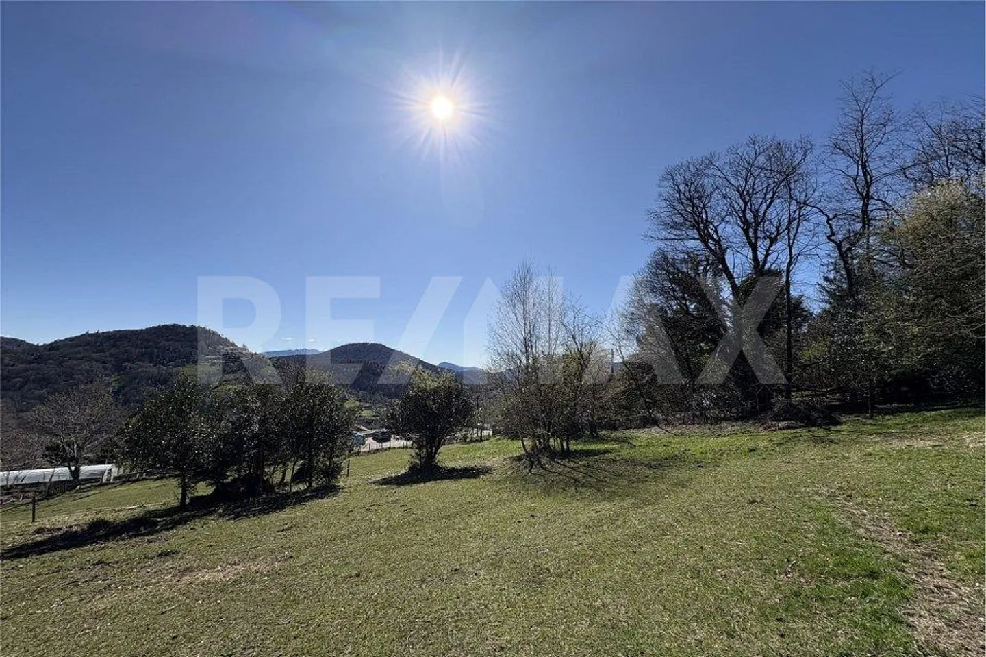 Terreno edificabile in mezzo alla natura, ideale per gli amanti di cavalli - Foto 7 di 7