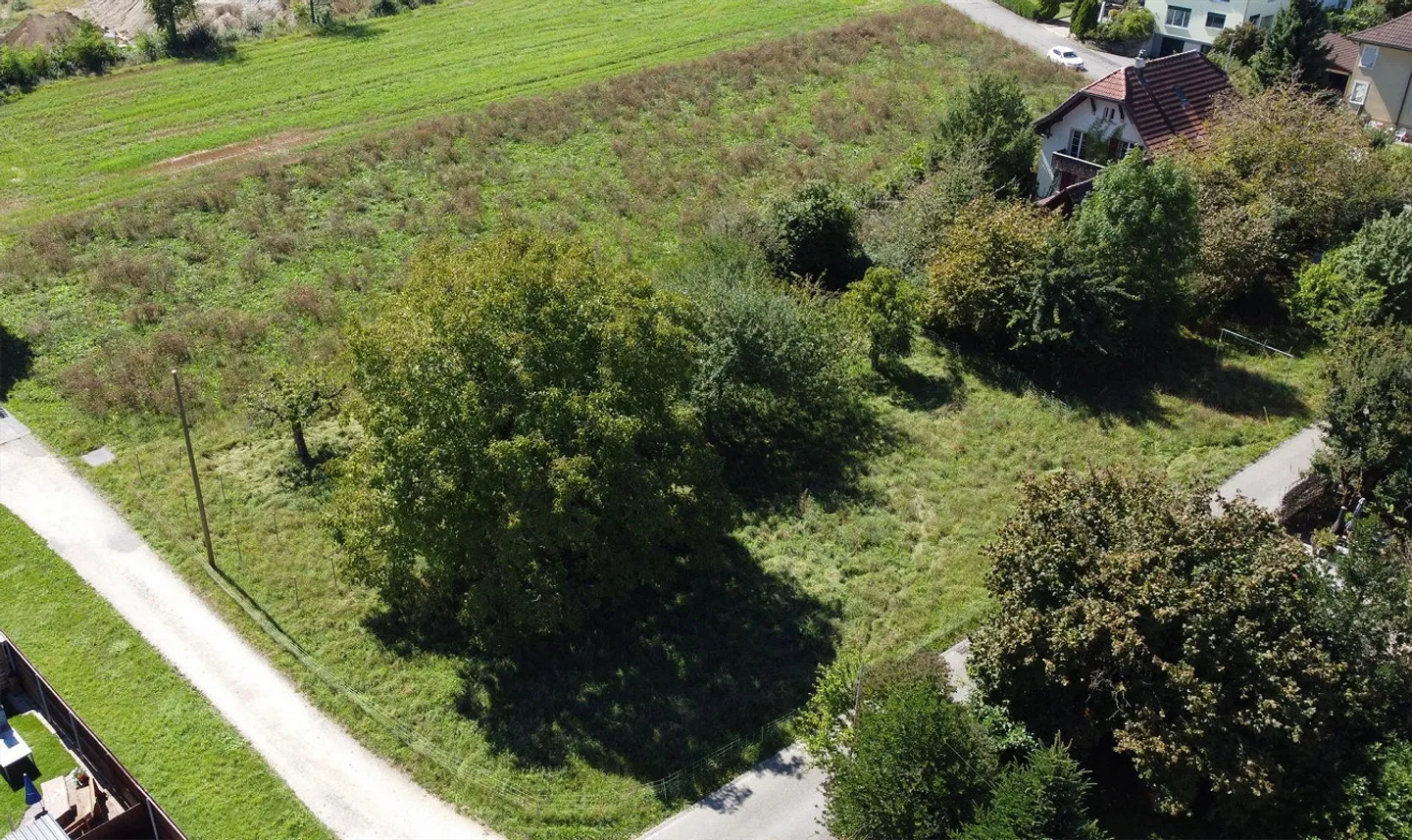 2,203 m2 of building land with approved construction project! - Photo 4 of 5