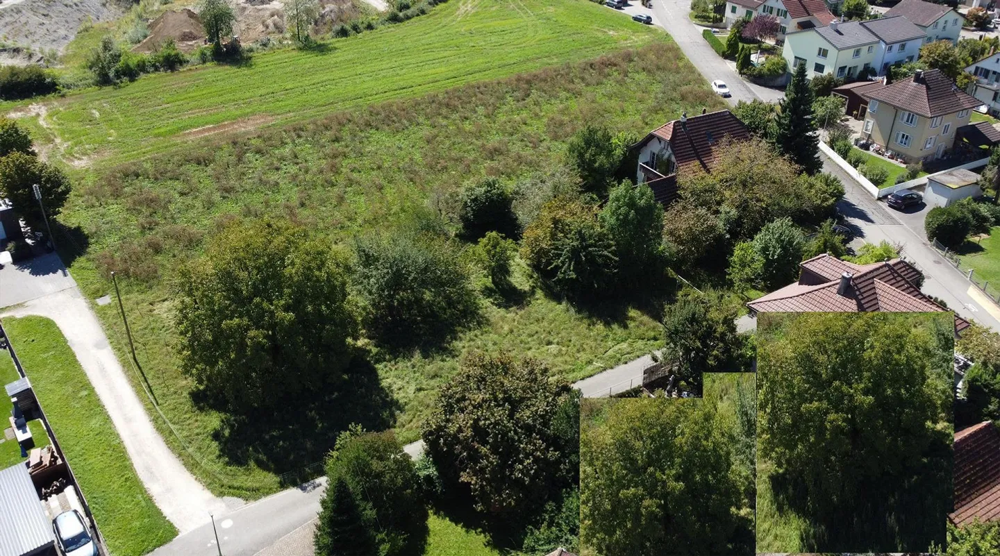 2,203 m2 of building land with approved construction project! - Photo 5 of 5