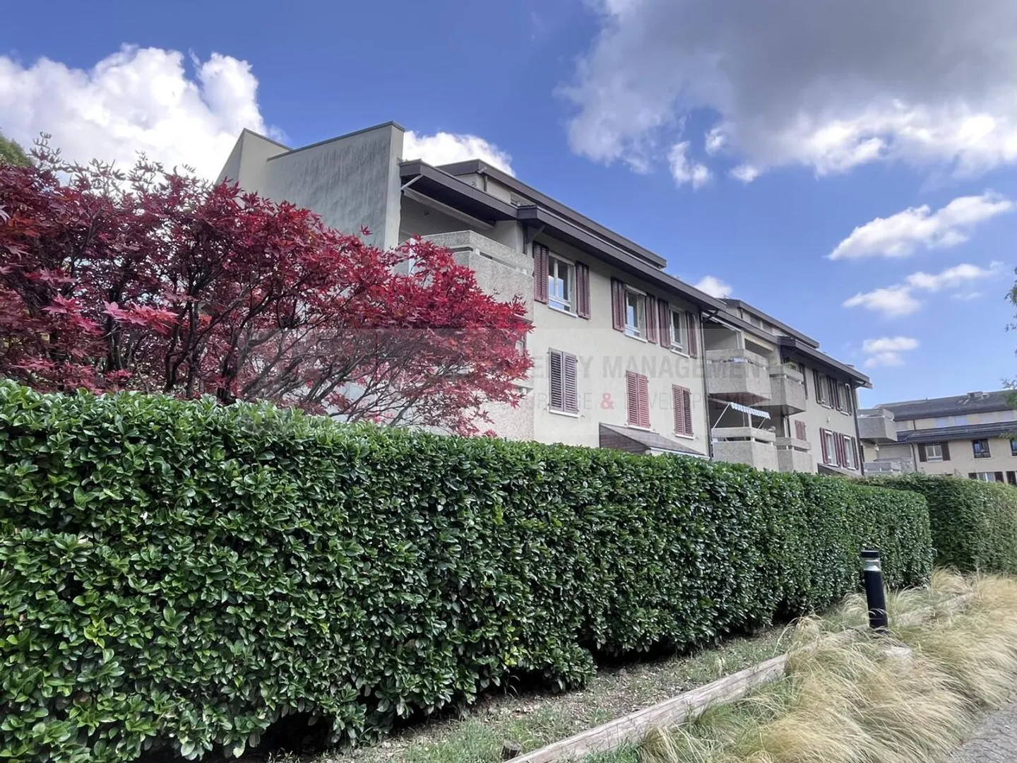 Cologny: charmante 5P-Wohnung - Foto 2 von 9