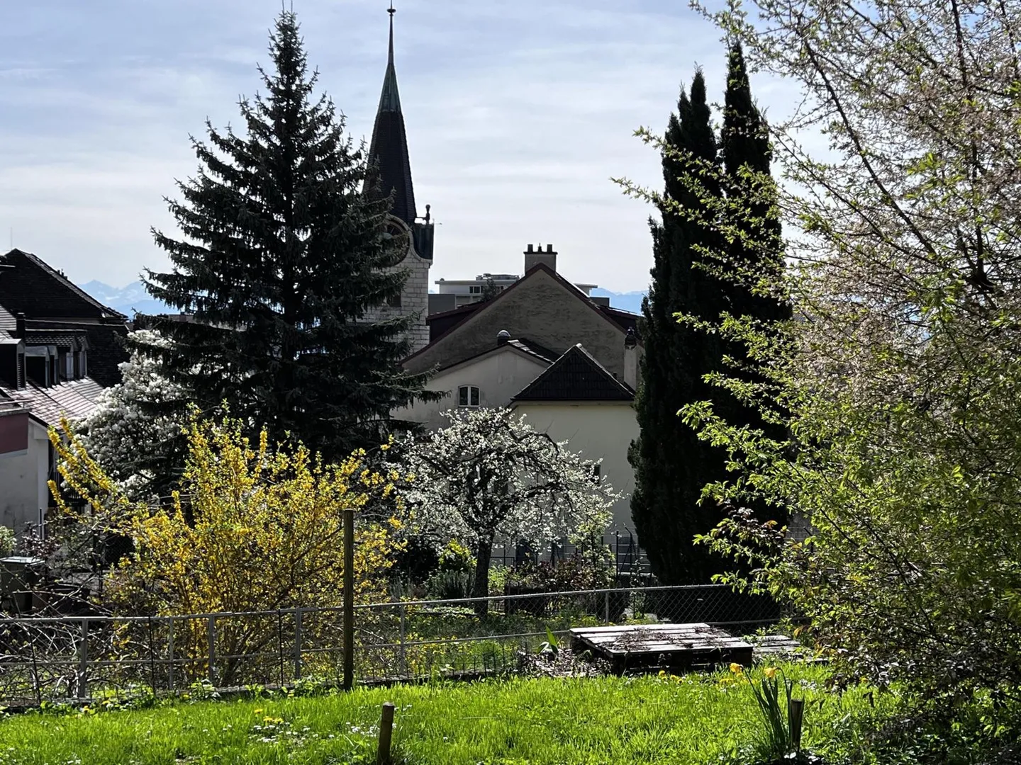 Charmanter sonnendurchfluteter Erdgeschosswohnung mit Blick auf die Alpen. - Foto 11 von 11