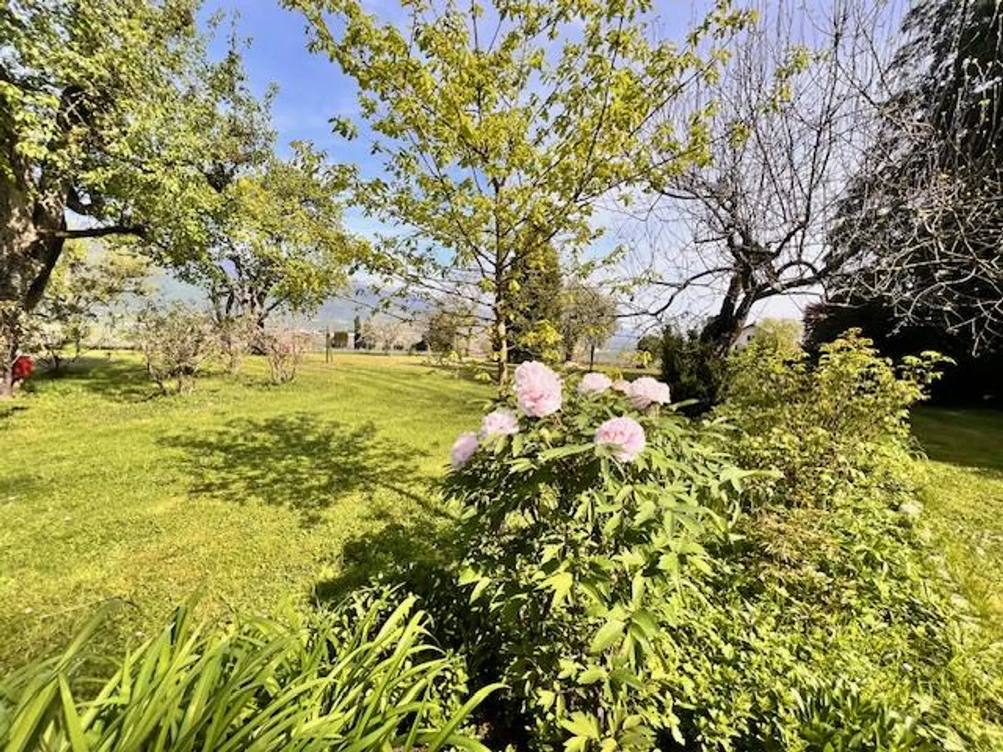 Large property in occupied life annuity surrounded by vineyards in Satigny - Photo 8 of 27