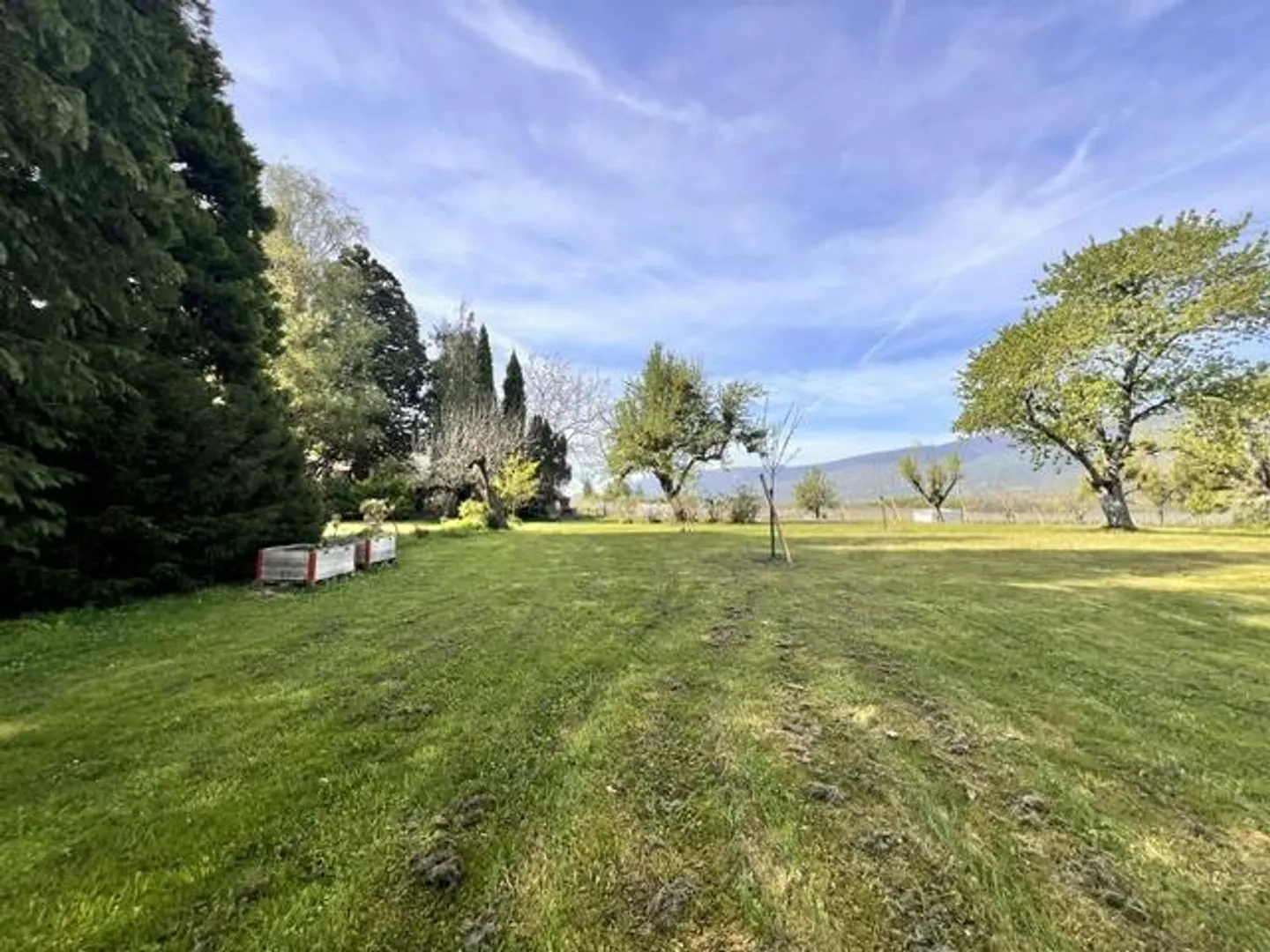Large property in occupied life annuity surrounded by vineyards in Satigny - Photo 23 of 27