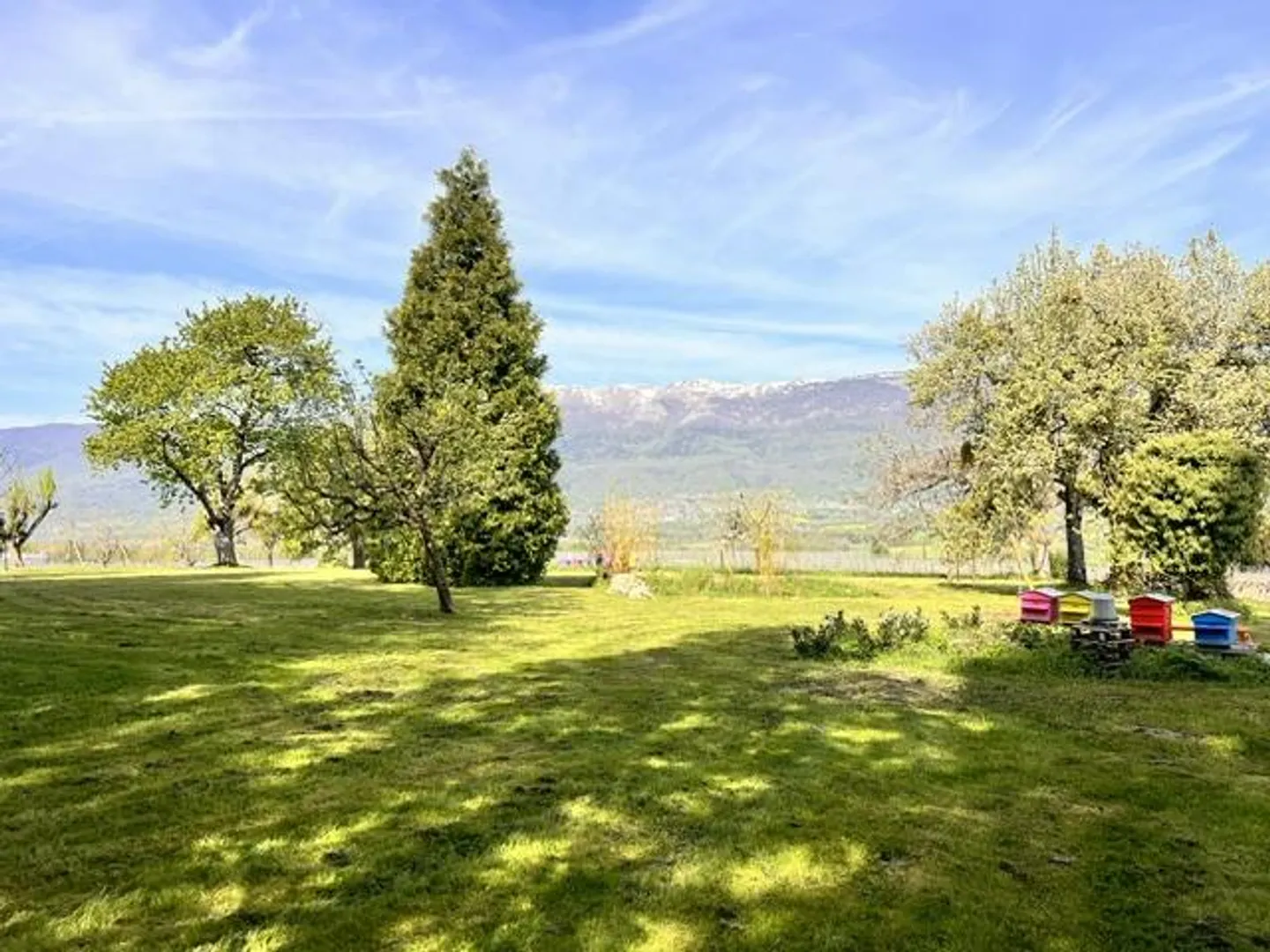 Large property in occupied life annuity surrounded by vineyards in Satigny - Photo 24 of 27