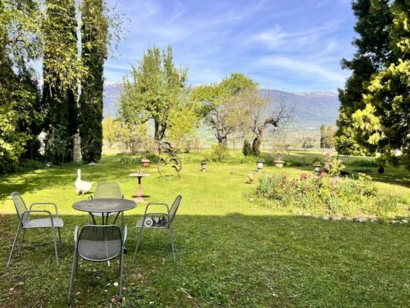 Large property in occupied life annuity surrounded by vineyards in Satigny - Photo 26 of 27