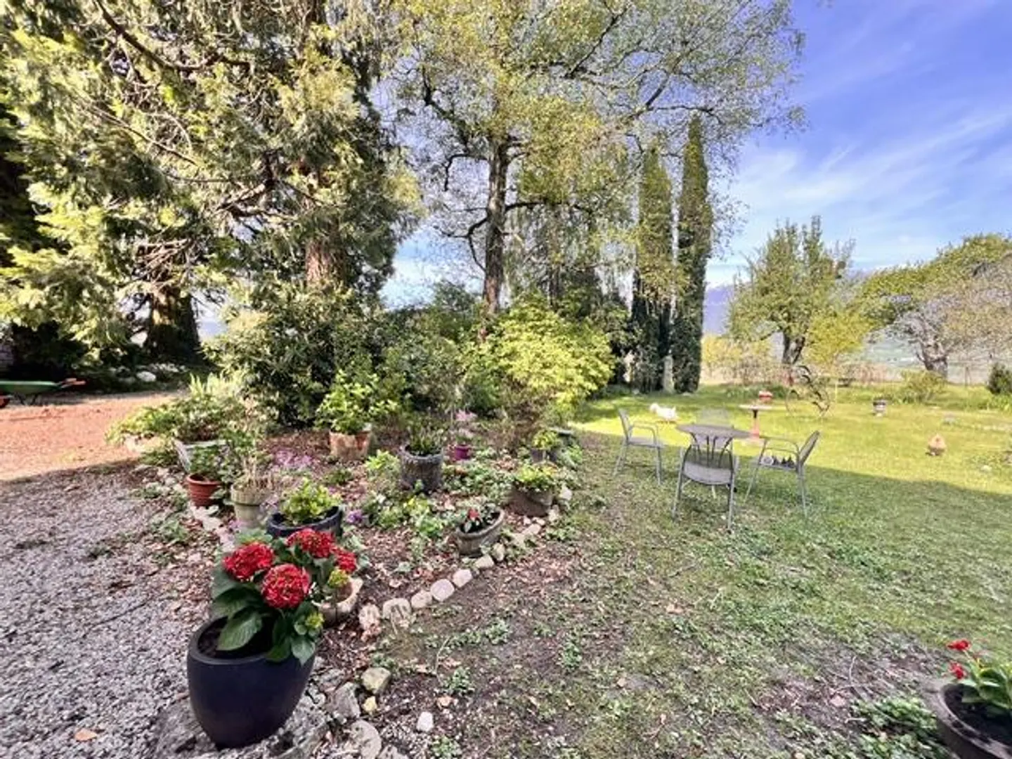 Large property in occupied life annuity surrounded by vineyards in Satigny - Photo 25 of 27