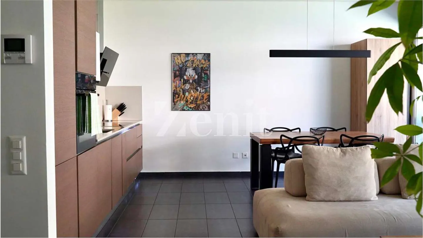 Modern penthouse with 2.5 rooms and large terrace - Photo 1 of 10