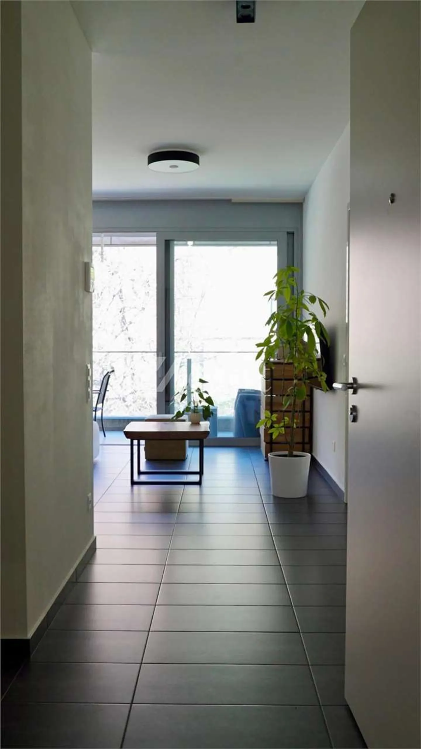 Modern penthouse with 2.5 rooms and large terrace - Photo 4 of 10