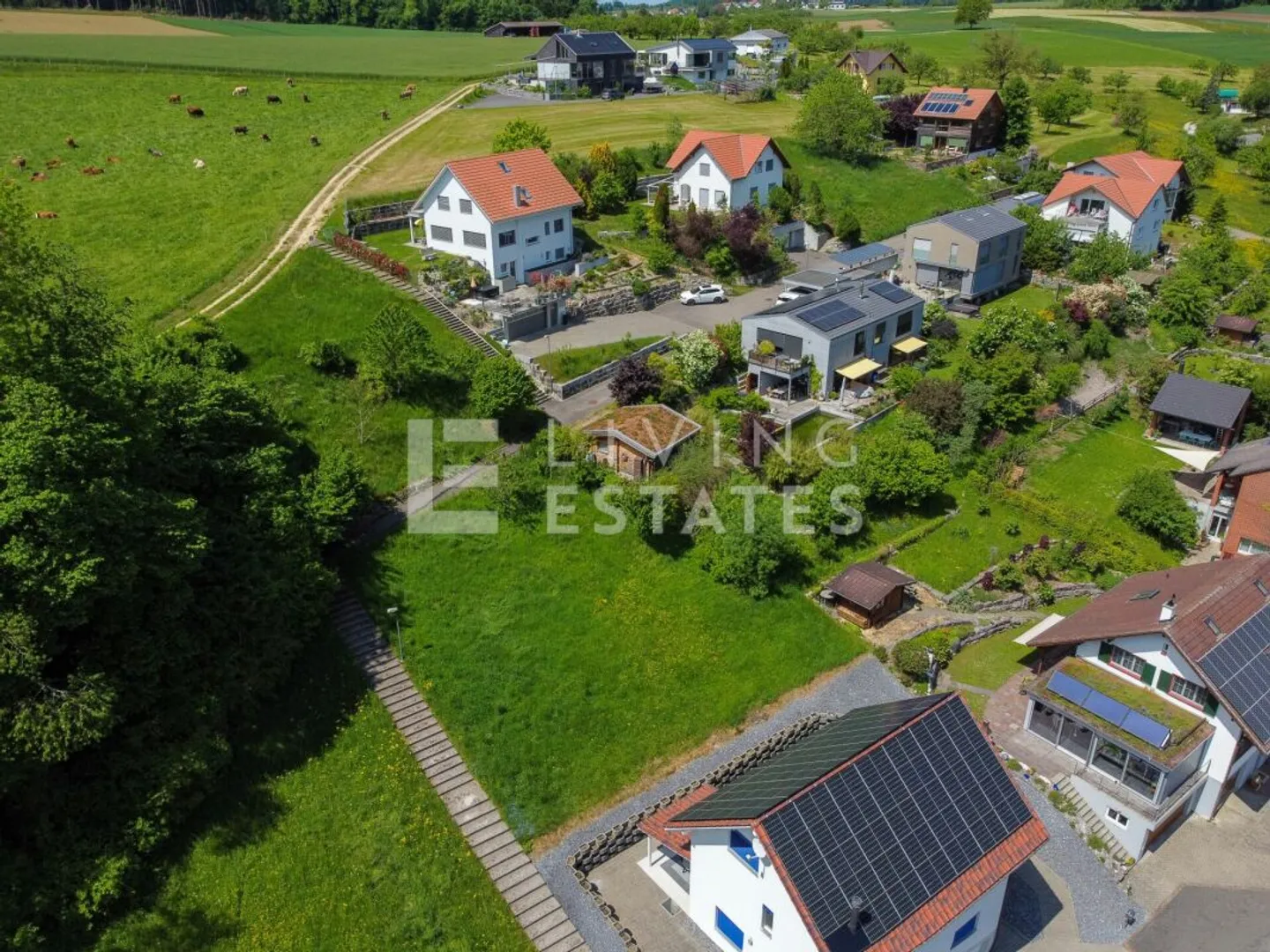 Casa singola in affitto - Foto 2 di 15