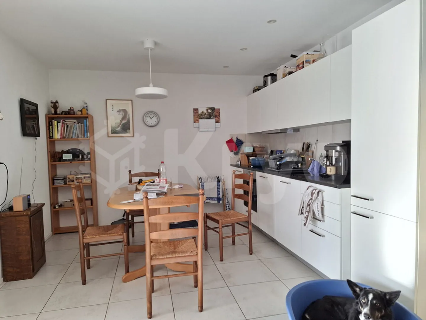 All, bright and modern 2.5 rooms for rent - Photo 1 of 5