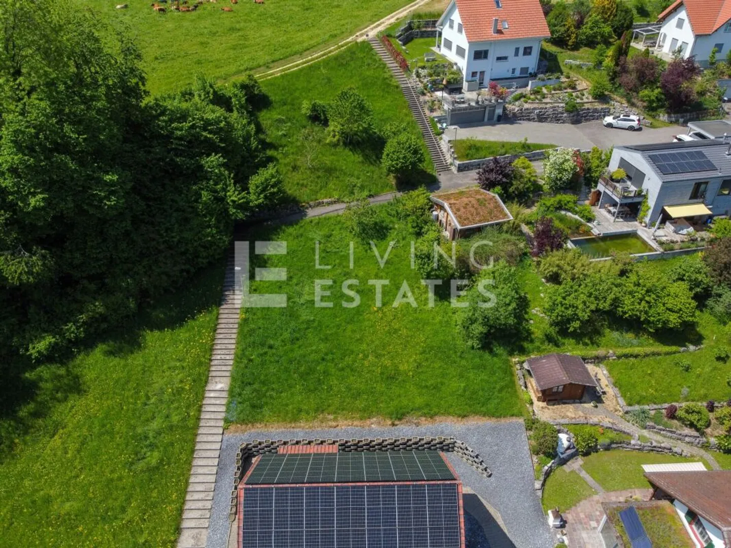 Casa singola in affitto - Foto 4 di 15