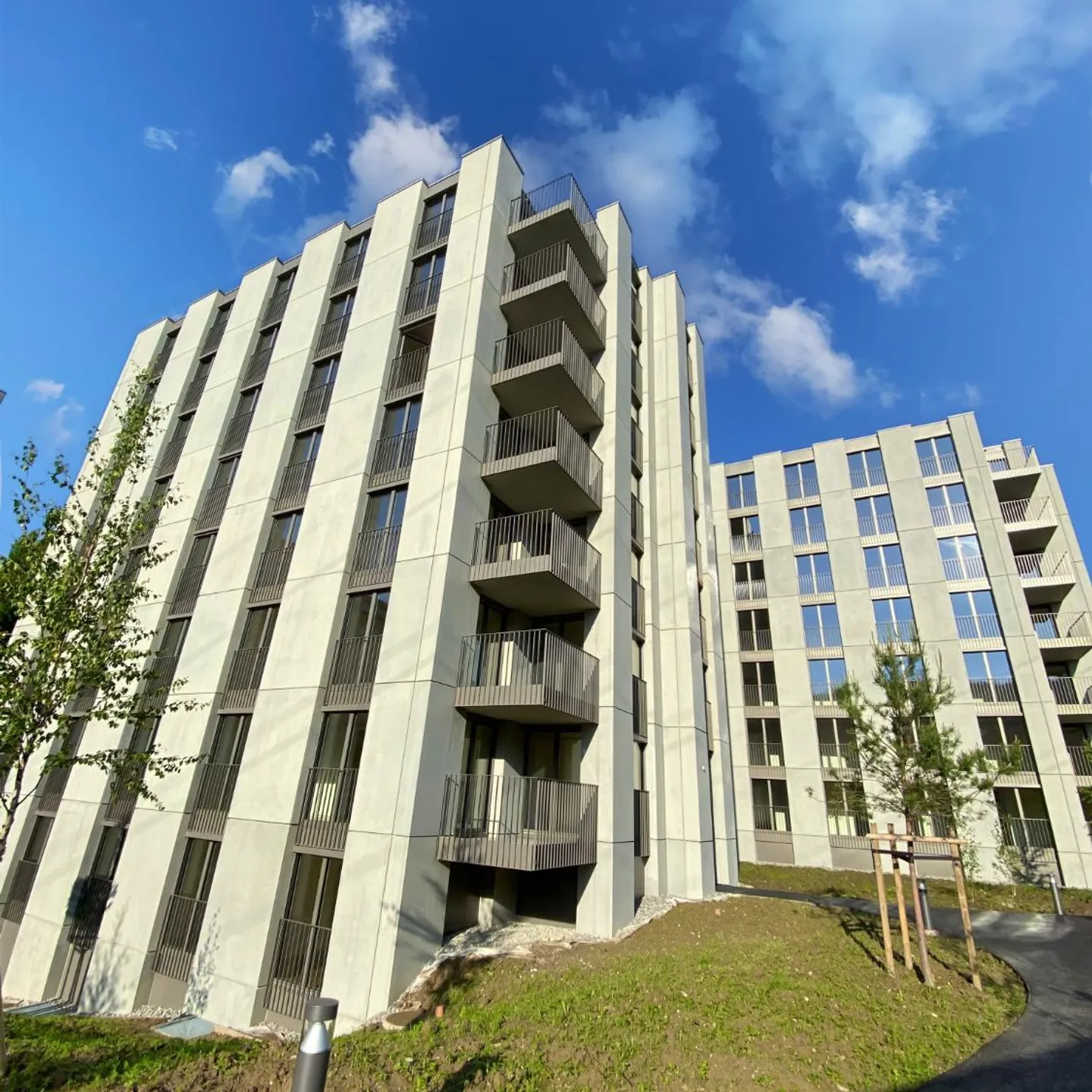 Open space - Photo 1 of 1