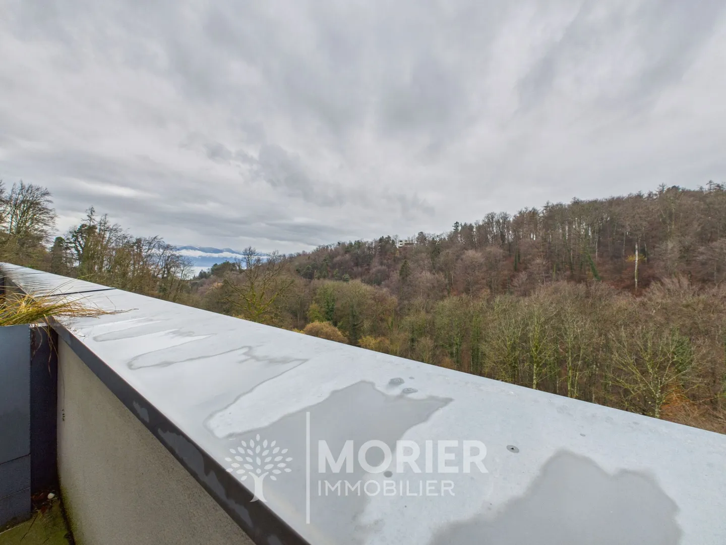 Appartement Charmant à Belmont - Photo 7 sur 7