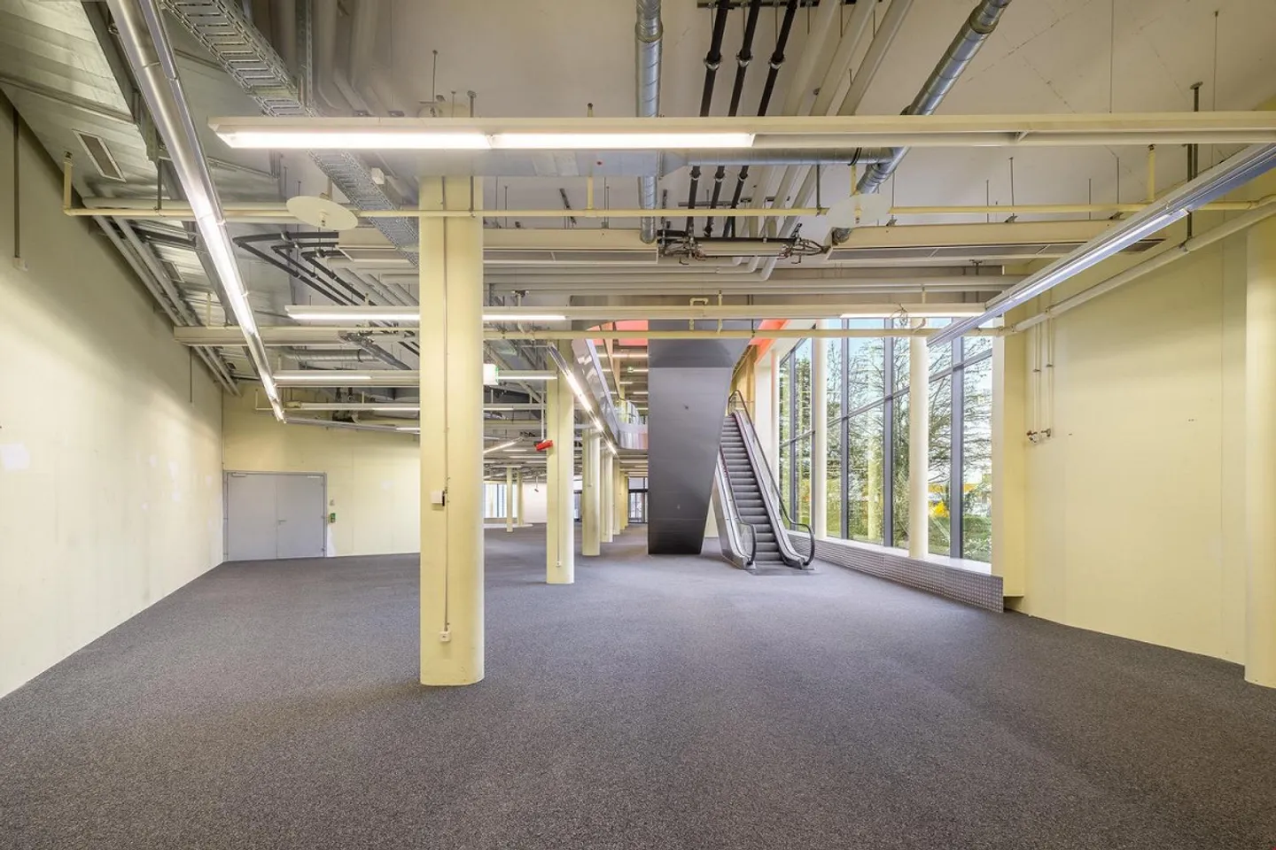 FORTIS - A strong foundation for your vision - Photo 10 of 12