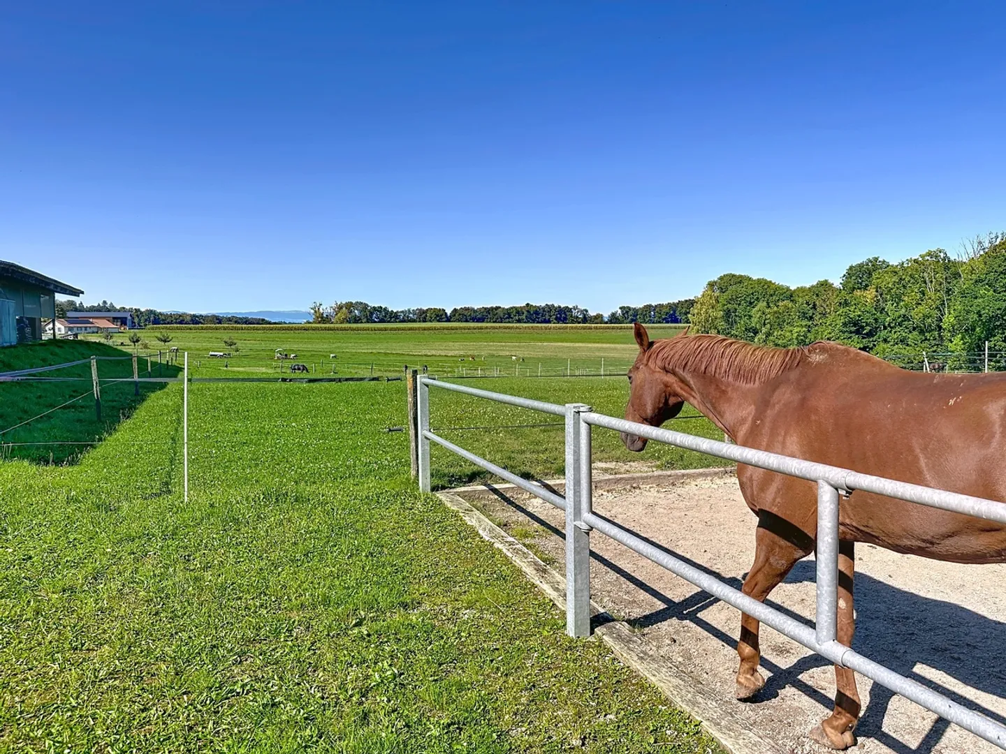 Architect's House, Equestrian Center on 4350m² of Land and Mazot - Photo 9 of 12
