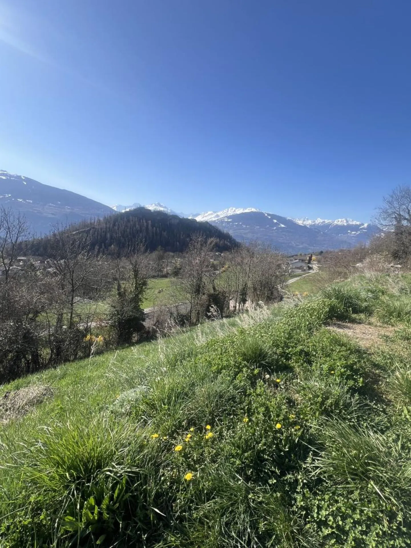 Terrain à La Place (Ayent) - Photo 1 sur 6