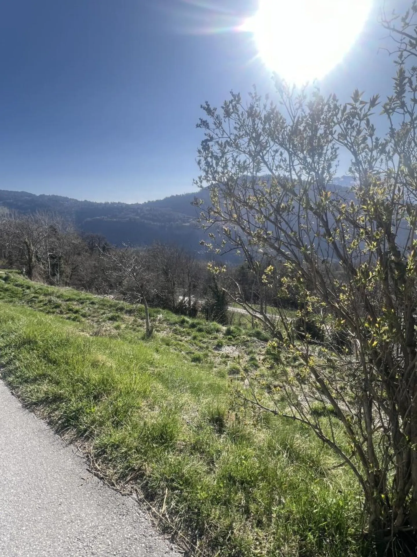 Terrain à La Place (Ayent) - Photo 3 sur 6