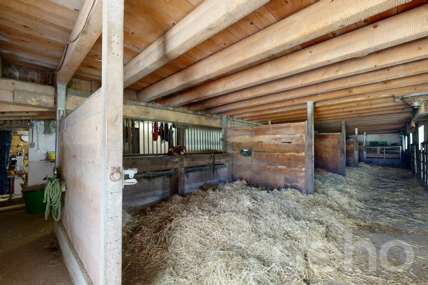Grande ferme idéale pour les amoureux de chevaux - Photo 10 sur 12