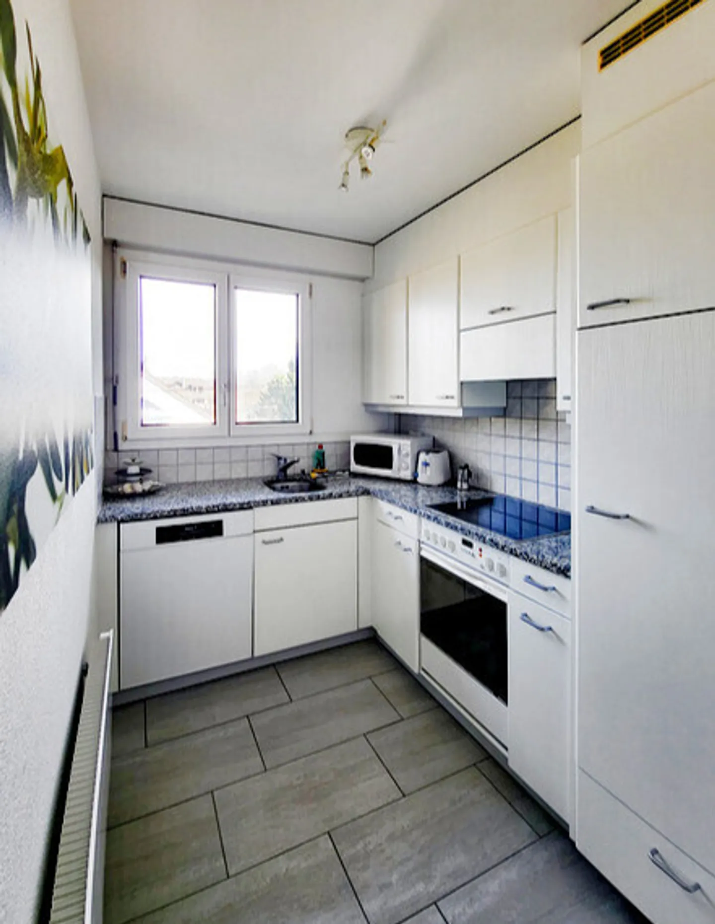 APPARTAMENTO 3½ STANZE A BERN - WEISSENBÜHL, ARREDATO - Foto 3 di 9