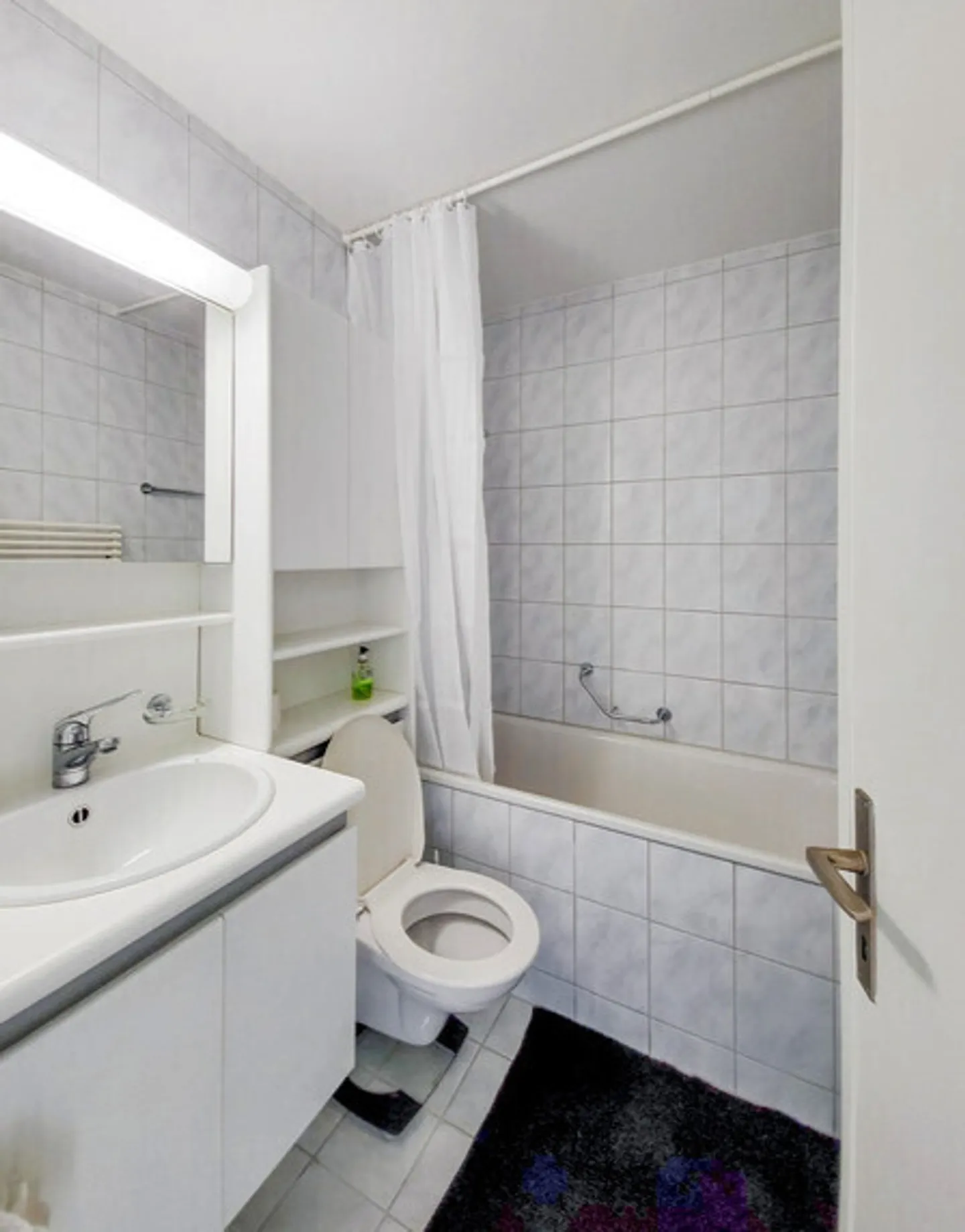 APPARTAMENTO 3½ STANZE A BERN - WEISSENBÜHL, ARREDATO - Foto 8 di 9