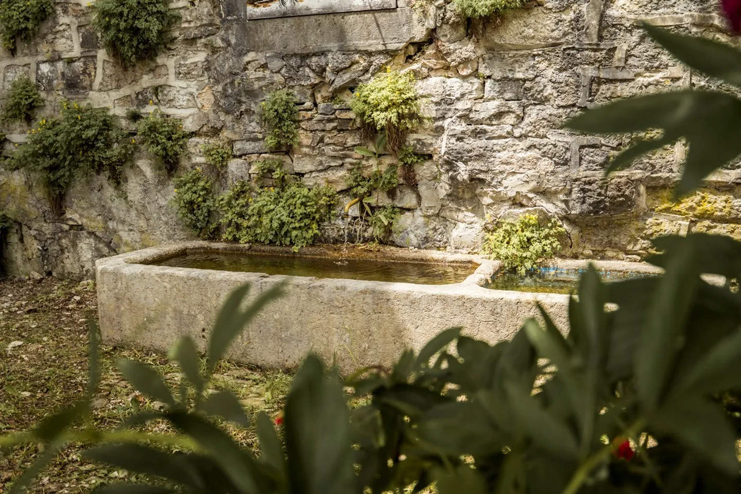 Edificio del 19° secolo con 3 appartamenti - Foto 4 di 13