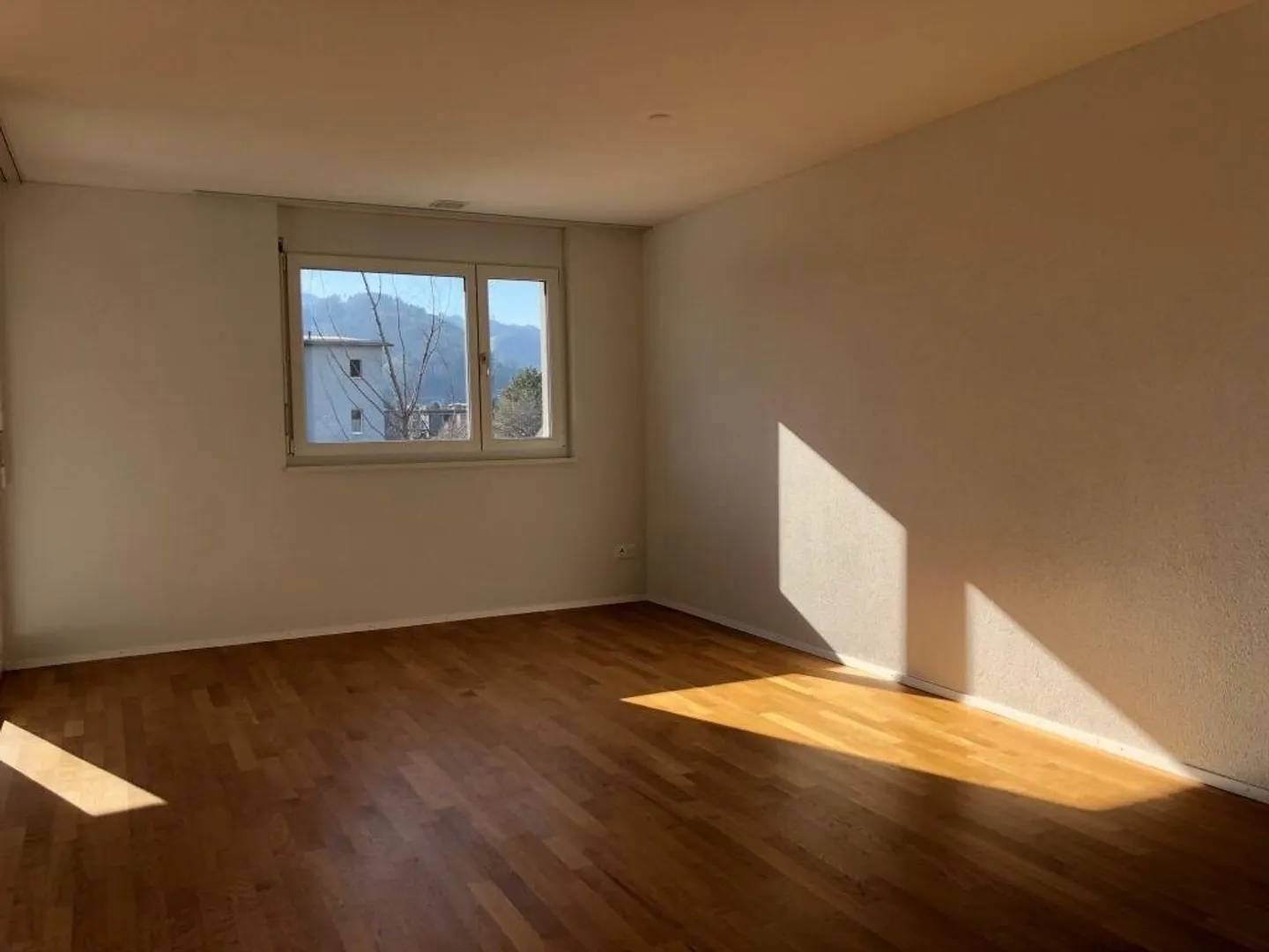 Modern Apartment in Widnau - Photo 4 of 6