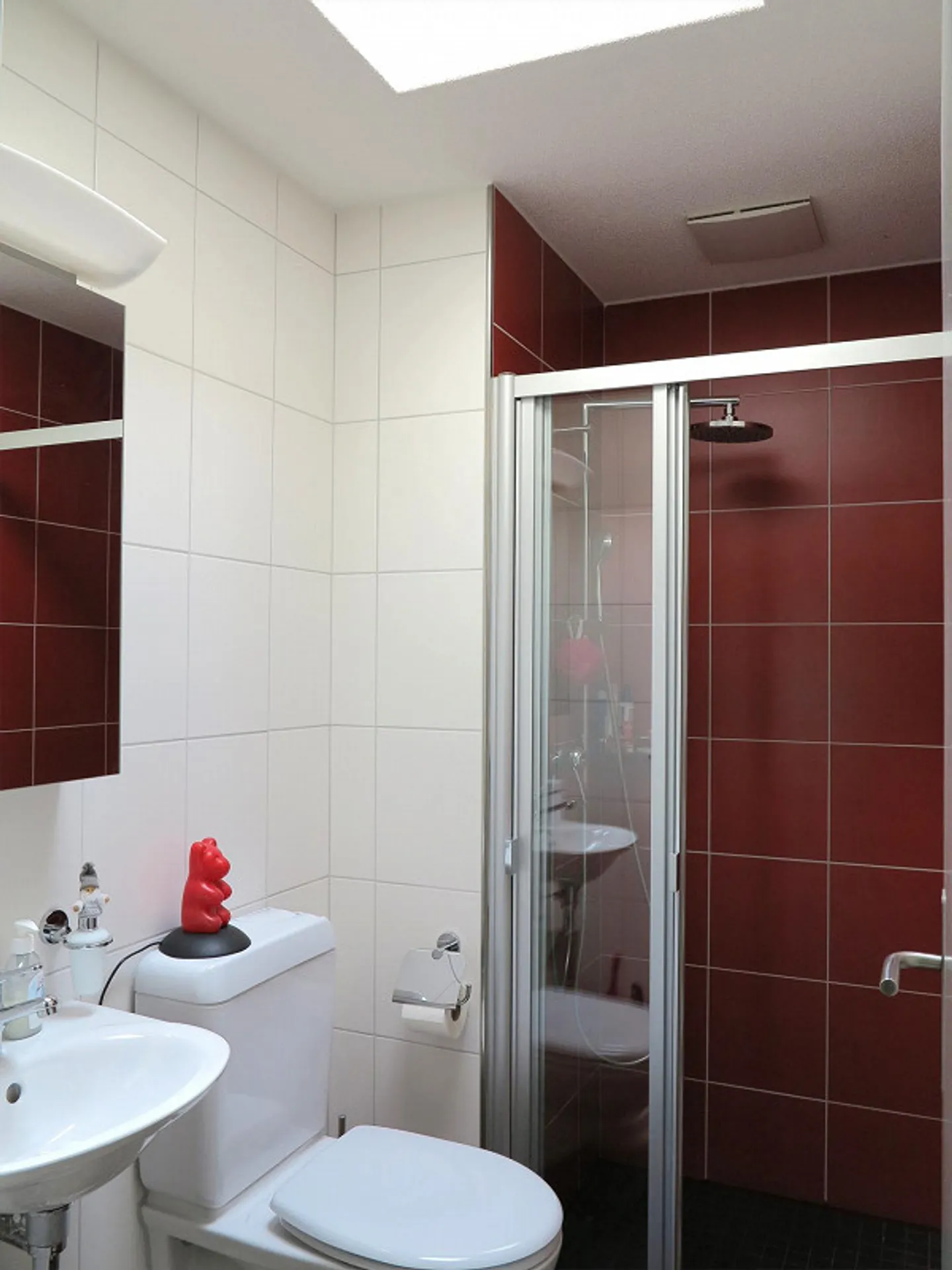 Appartamento Attico Unico di 4,5 Stanze con Vista sul Verde - Foto 13 di 15