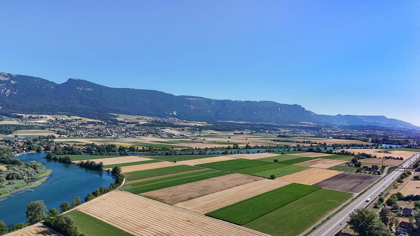 878 m² of land for your residential ideas in Leuzigen - Photo 7 of 7