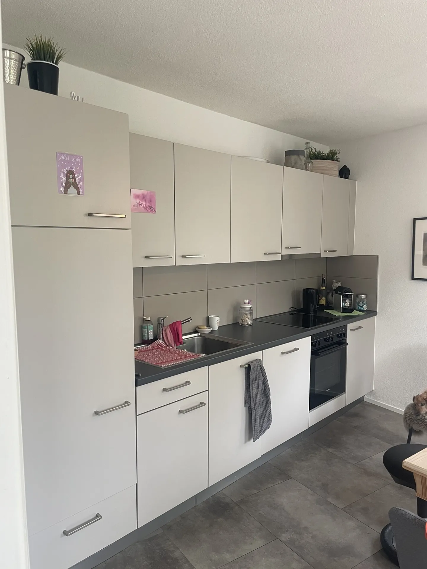 APPARTAMENTO 2 LOCALI AD ARLESHEIM (BL), ARREDATO, TEMPORANEO - Foto 1 di 5